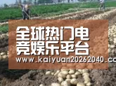 种植基地七(图1)