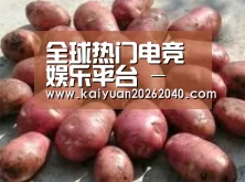 产品展示标题5(图1)