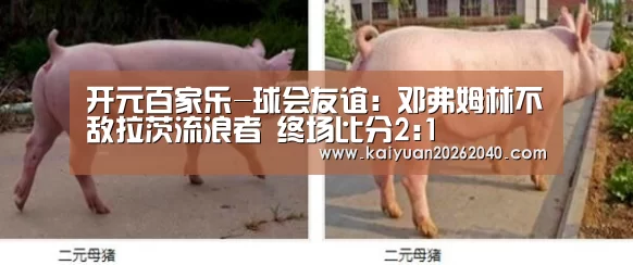 开元百家乐-球会友谊: 邓弗姆林不敌拉茨流浪者 终场比分2:1(图1) 开元下载