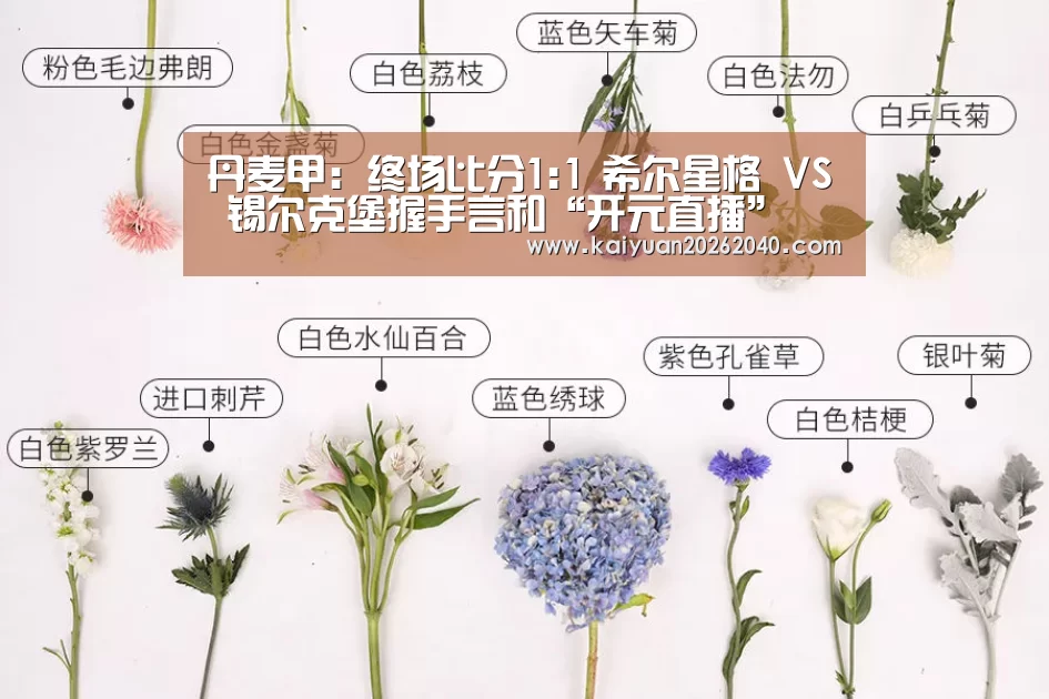 丹麦甲: 终场比分1:1 希尔星格 VS 锡尔克堡握手言和“开元直播”(图1) 开元下载